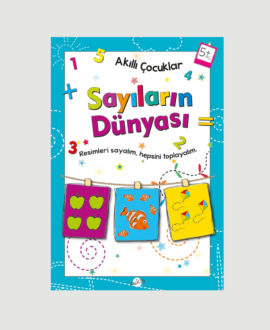 Akıllı Çocuklar Sayıların Dünyası 5+Yaş